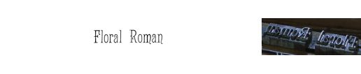 Floral Roman