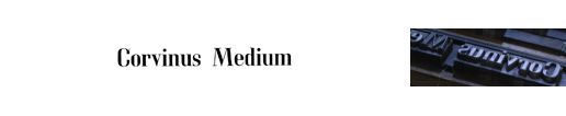 Corvinus Medium
