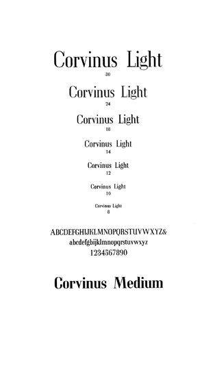 Corvinus Medium